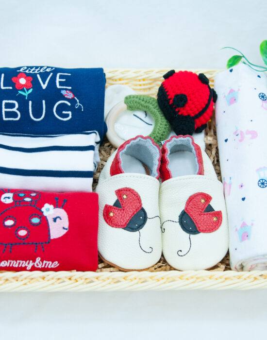 baby girl hamper - ladybug theme overview